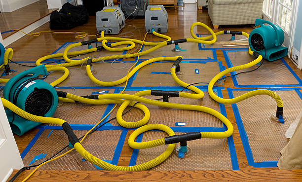 Professional Water Damage Restoration technician working in Gill, CO